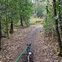 Pingo Trail, just off A1075, Norfolk - 20240324_114355.jpg
