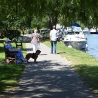 Dog watching the river / Shutterstock