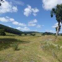 The quiet ruins of Hopton Castle, Shropshire - Dog walk near Ludlow