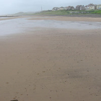 Energy Coast dog-friendly beach, Cumbria - Dog walks in Cumbria