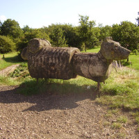 Melton Mowbray country park dog walk, Leicestershire - Dog walks in Leicestershire