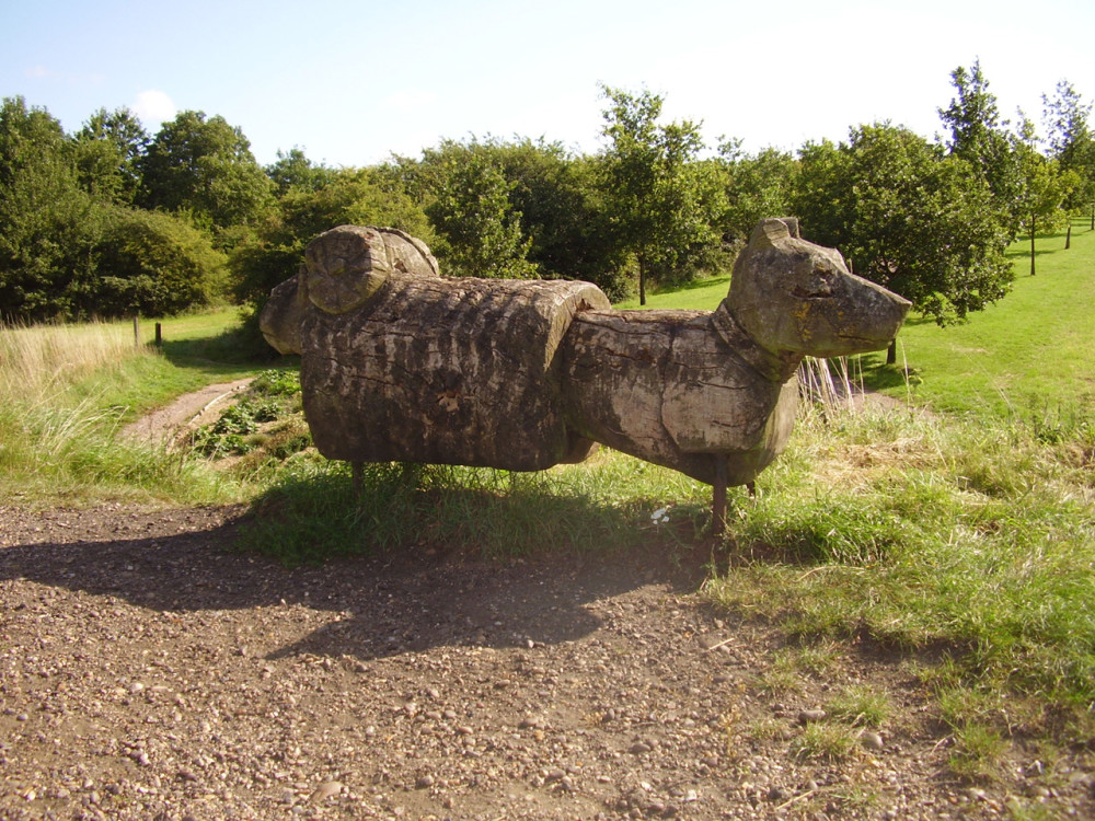Melton Mowbray Country Park Dog Walk Leicestershire Driving With Dogs