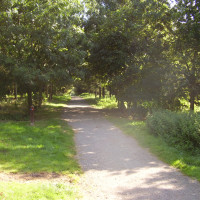 Melton Mowbray country park dog walk, Leicestershire - Dog walks in Leicestershire