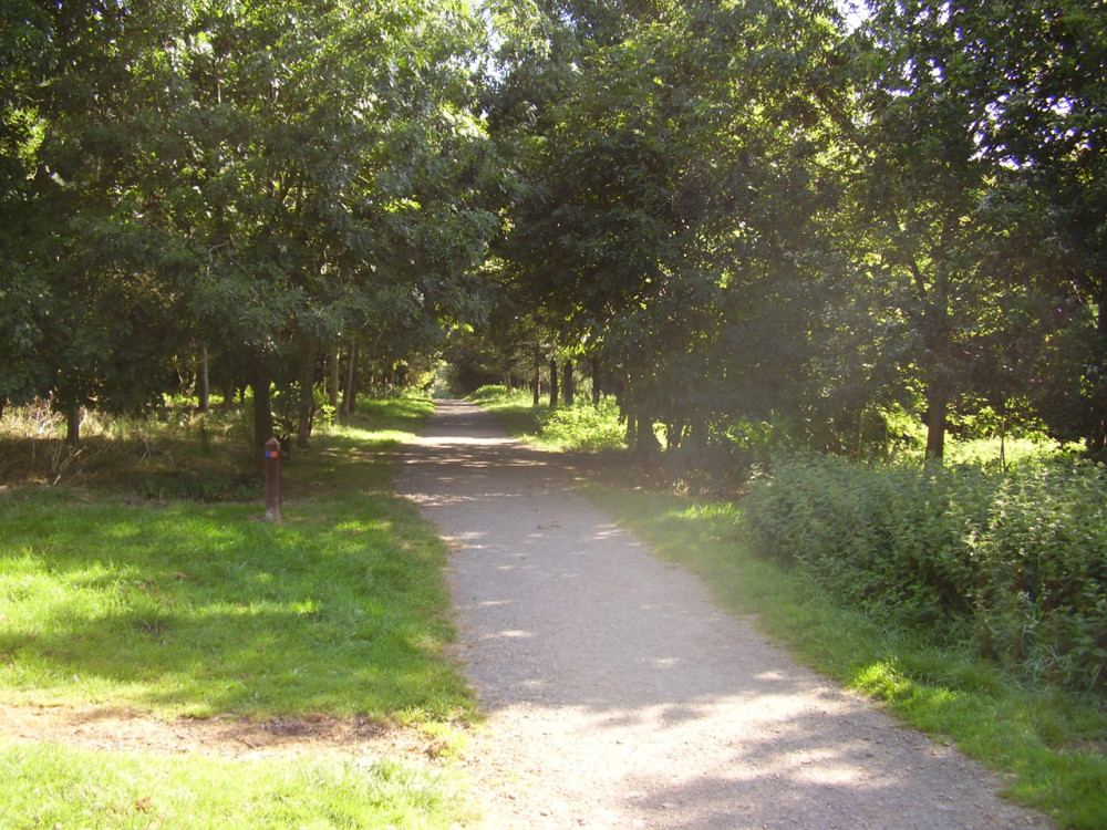 Melton Mowbray Country Park Dog Walk Leicestershire Driving With Dogs