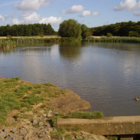 Melton Mowbray country park dog walk, Leicestershire - Dog walks in Leicestershire