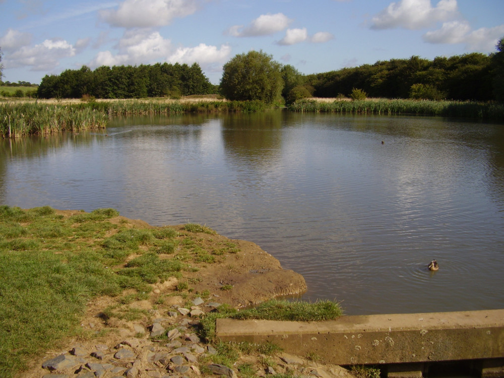 Melton Mowbray Country Park Dog Walk Leicestershire Driving With Dogs