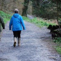 Cotehele Quay to Lower Kelly dog walk, Cornwall - 2018-04-07-5430.jpg