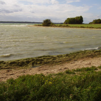 A1 dog walk at Grafham Water Park, Cambridgeshire - Dog walks in Cambridgeshire