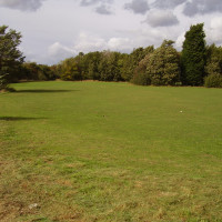 A1 dog walk at Grafham Water Park, Cambridgeshire - Dog walks in Cambridgeshire