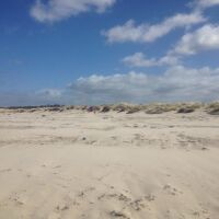 Nairn Lochloy dog-friendly beach, Scotland - sand-dunes.jpg