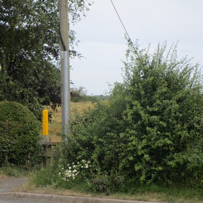 A5 dog walk and dog-friendly pub, Leicestershire - Driving with Dogs