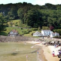 North Sands dog-friendly beach near Salcombe, Devon - Dog walks in Devon