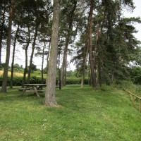 Reservoir dog walk, Leicestershire - Dog walks in Leicestershire