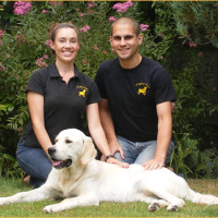 Wagging Tails, Hampshire - WaggingTails