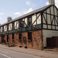 M5 Junction 27 dog-friendly pub and dog walk, Devon - Dog walks in Devon