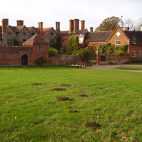 Packwood Avenue dog walk, Warwickshire - Dog walks in Warwickshire