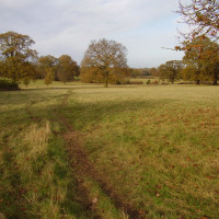Packwood Avenue dog walk, Warwickshire - Dog walks in Warwickshire