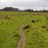 Lammas Meadows dog walk, Cambridgeshire - Dog walks in Cambridgeshire
