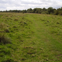 Lammas Meadows dog walk, Cambridgeshire - Dog walks in Cambridgeshire
