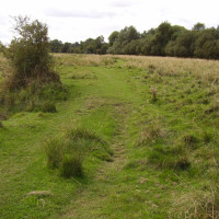 Lammas Meadows dog walk, Cambridgeshire - Dog walks in Cambridgeshire