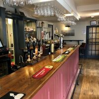 A429 Dog-friendly pub and dog walk, Warwickshire - loxley fox.jpg