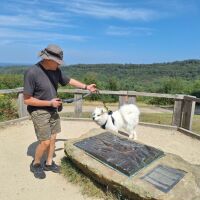 A3 Country Park dog walks, Surrey - Admiring the view
