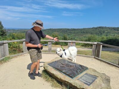 A3 Country Park dog walks, Surrey - Driving with Dogs