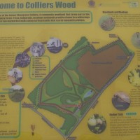 Moor Green local dog walk, Nottinghamshire - Dog walks in Nottinghamshire