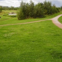 Moor Green local dog walk, Nottinghamshire - Dog walks in Nottinghamshire