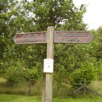 Moor Green local dog walk, Nottinghamshire - Dog walks in Nottinghamshire