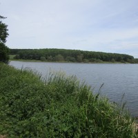 Reservoir dog walk, Leicestershire - Dog walks in Leicestershire