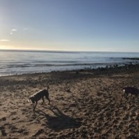 Powfoot Beach - dog-friendly, Scotland - 3B26DE02-0913-4056-8A3F-2A5772DBA4EA.jpeg