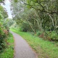 Accessible Dog Friendly walk across Dinas Island, Wales - 20220901_113441.jpg