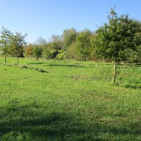 Detling dog-friendly pub, Kent - Kent dog walk and dog-friendly pub