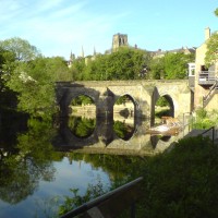 Shincliffe to Durham dog walk and dog-friendly pub, County Durham - Dog walks in Tyne and Wear