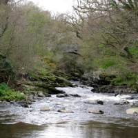 Roe Valley Country Park dog walk, NI - Dog walks in Northern Ireland