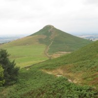 Roseberry Topping dog walk, North Yorkshire - Dog walks in Yorkshire