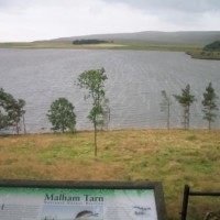 Malham Tarn dog walk, Yorkshire - Dog walks in Yorkshire