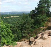 Alderley Edge dog walk, Cheshire - Dog walks in Cheshire