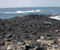 Giants Causeway dog walk, NI - Dog walks in Northern Ireland