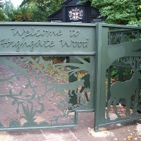 Highgate Wood local dog walk, Greater London - Dog walks in Greater London