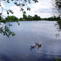 Eastbrookend Park dog walk, Greater London - Dog walks in Essex