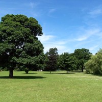 Markeaton Park dog walks, Derbyshire - Dog walks in Derbyshire