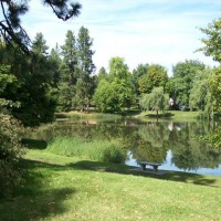 Cannon Hill Park local dog walk in Birmingham, West Midlands - Dog walks in the West Midlands