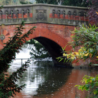 Cannon Hill Park local dog walk in Birmingham, West Midlands - Dog walks in the West Midlands