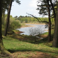 Harlaw Reservoir dog walk near Edinburgh, Scotland - Dog walks in Scotland
