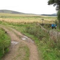 Harlaw Reservoir dog walk near Edinburgh, Scotland - Dog walks in Scotland