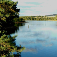 Harlaw Reservoir dog walk near Edinburgh, Scotland - Dog walks in Scotland