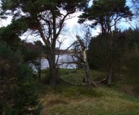 Harlaw Reservoir dog walk near Edinburgh, Scotland - Dog walks in Scotland