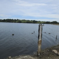 Reservoir dog walk, Leicestershire - Dog walks in Leicestershire